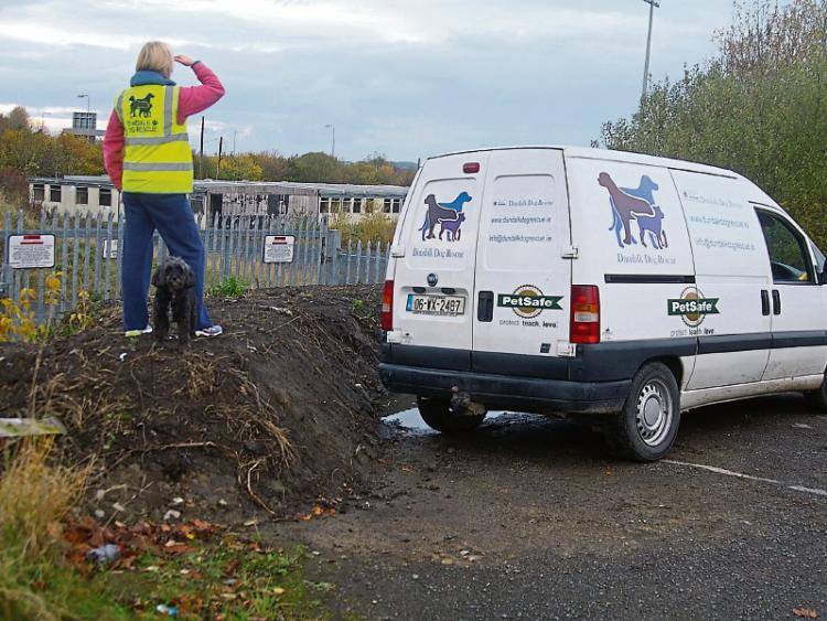 Walkers Dog Rescue Louth Walkers Dog Rescue Louth