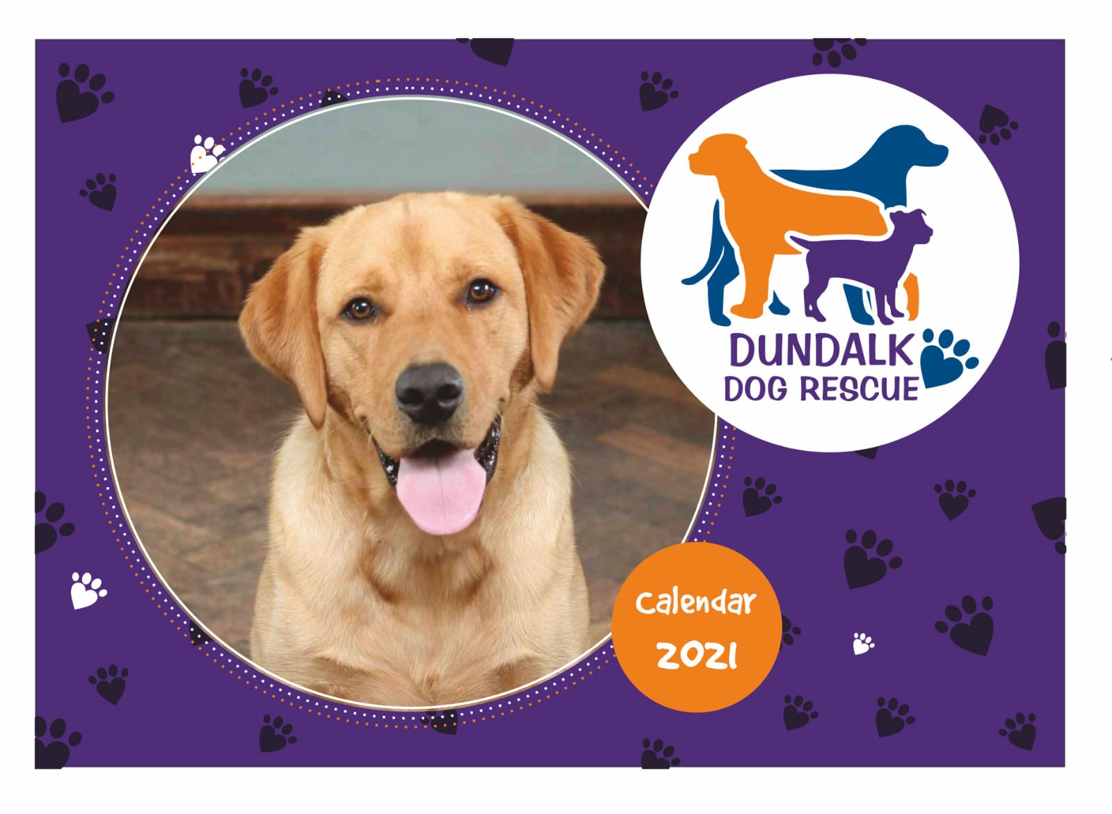 Dundalk Dog Rescue Giving unwanted dogs a second chance