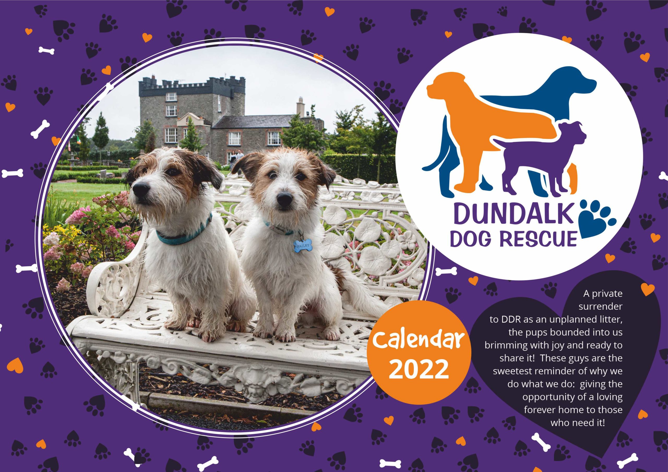 dundalk dog rescue calendar 2022